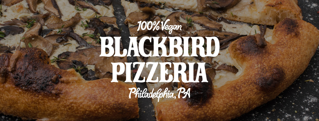 Member Discount - Blackbird Pizza - Vegetarian Society of South Jersey