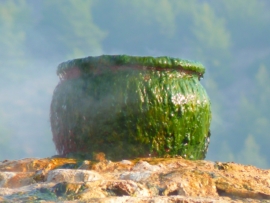 cauldron-pot-15020_1280